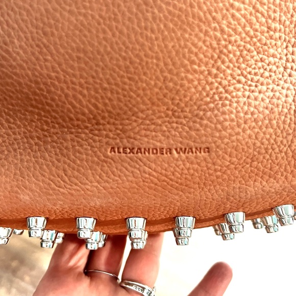 Alexander Wang Darcy Hobo Rose Pebbled Leather Burnt Studed. - Picture 10 of 14